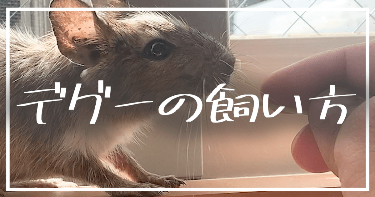 小動物 ペット を飼う発生するデメリット いいことばかりじゃない 悪い点を理解した上で飼育を推奨 ててらぼペット部
