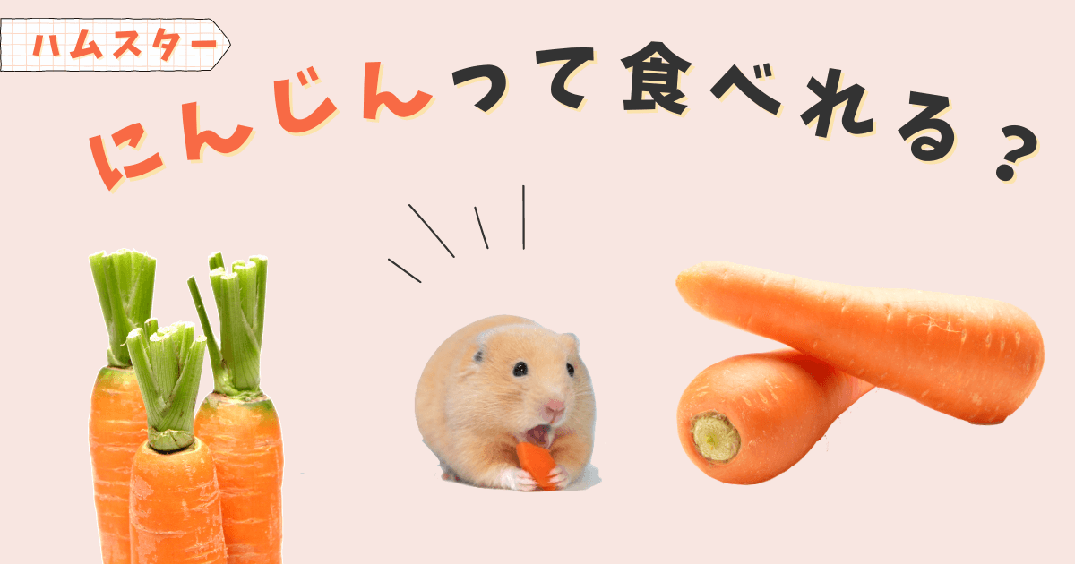 にんじん。さまおまとめ 2点 （与え方】にんじんってハムスターにどう 