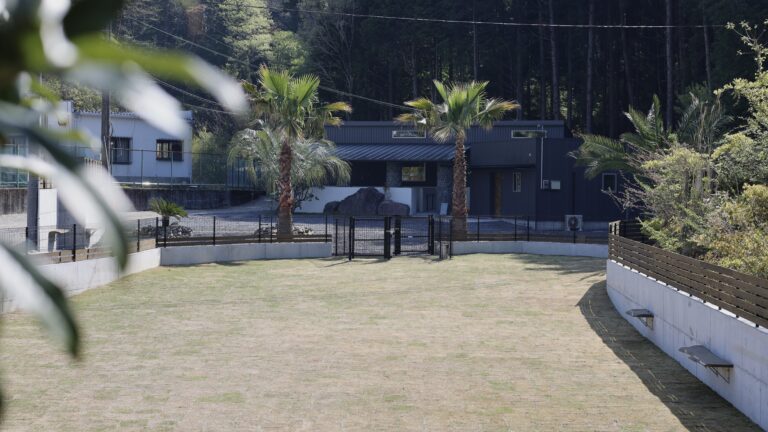 sui Dogrun photography