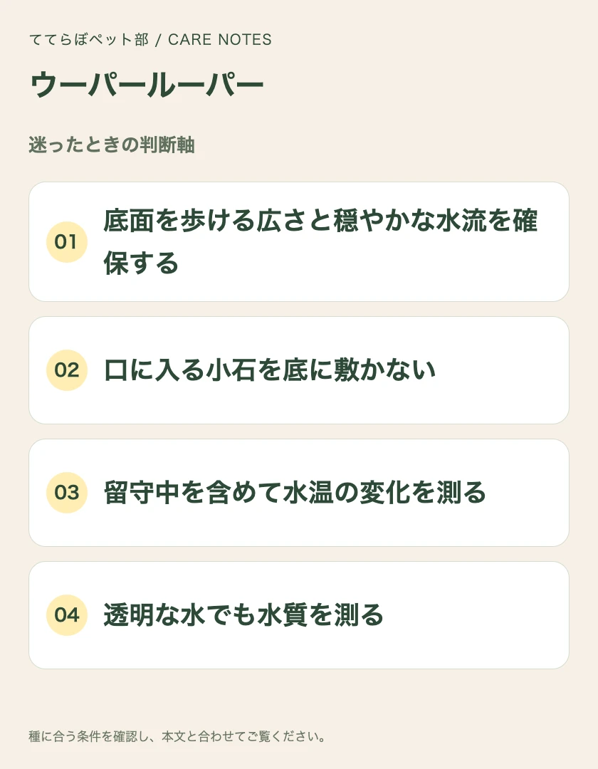 ウーパールーパーの迷ったときの判断軸