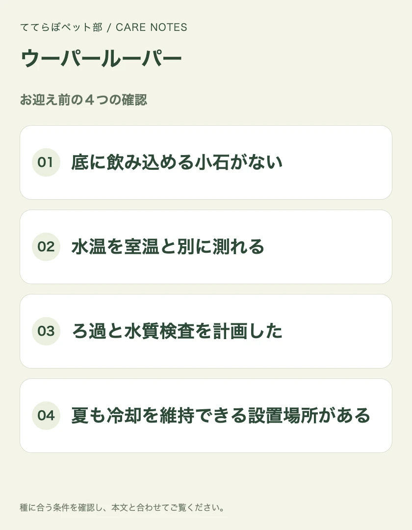 ウーパールーパーのお迎え前に確認する4項目
