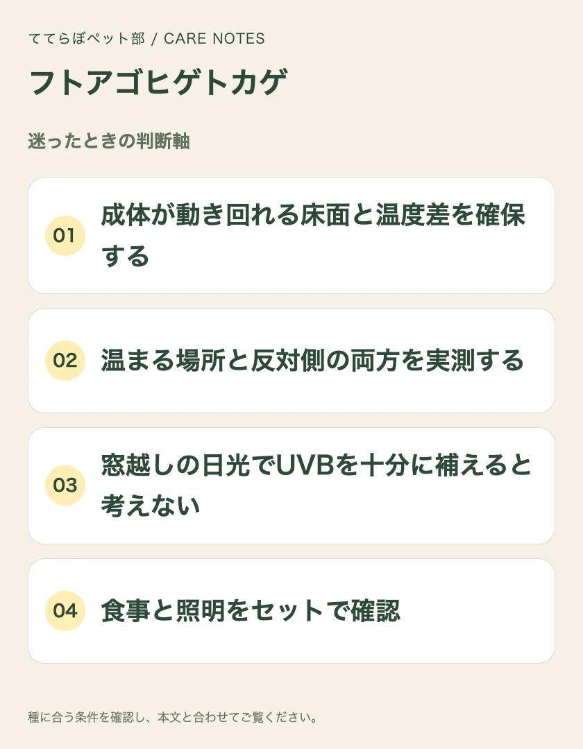 フトアゴヒゲトカゲの迷ったときの判断軸
