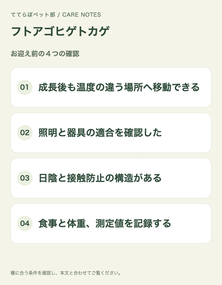 フトアゴヒゲトカゲのお迎え前に確認する4項目