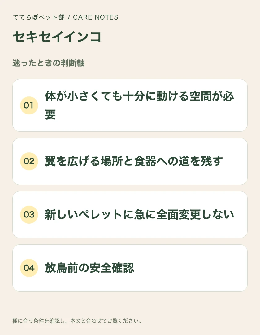 セキセイインコの迷ったときの判断軸