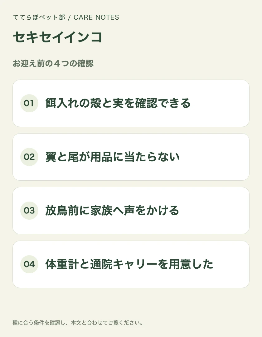 セキセイインコのお迎え前に確認する4項目