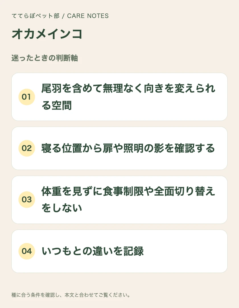 オカメインコの迷ったときの判断軸