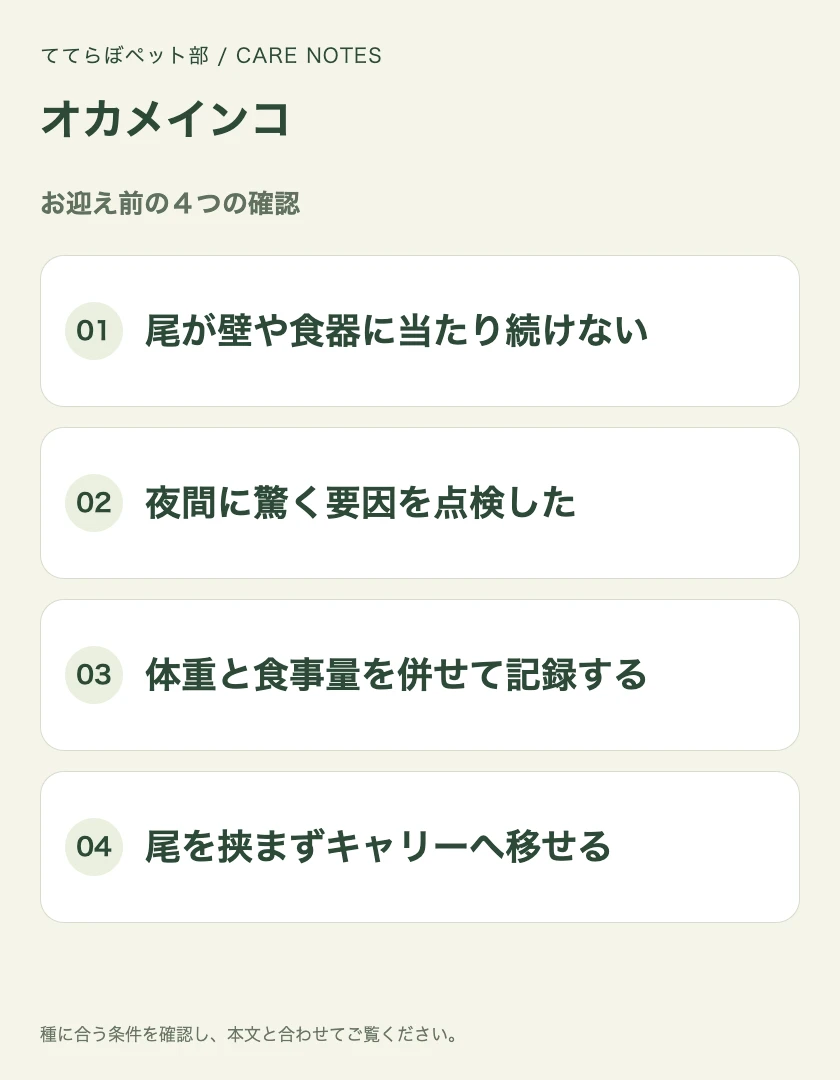 オカメインコのお迎え前に確認する4項目