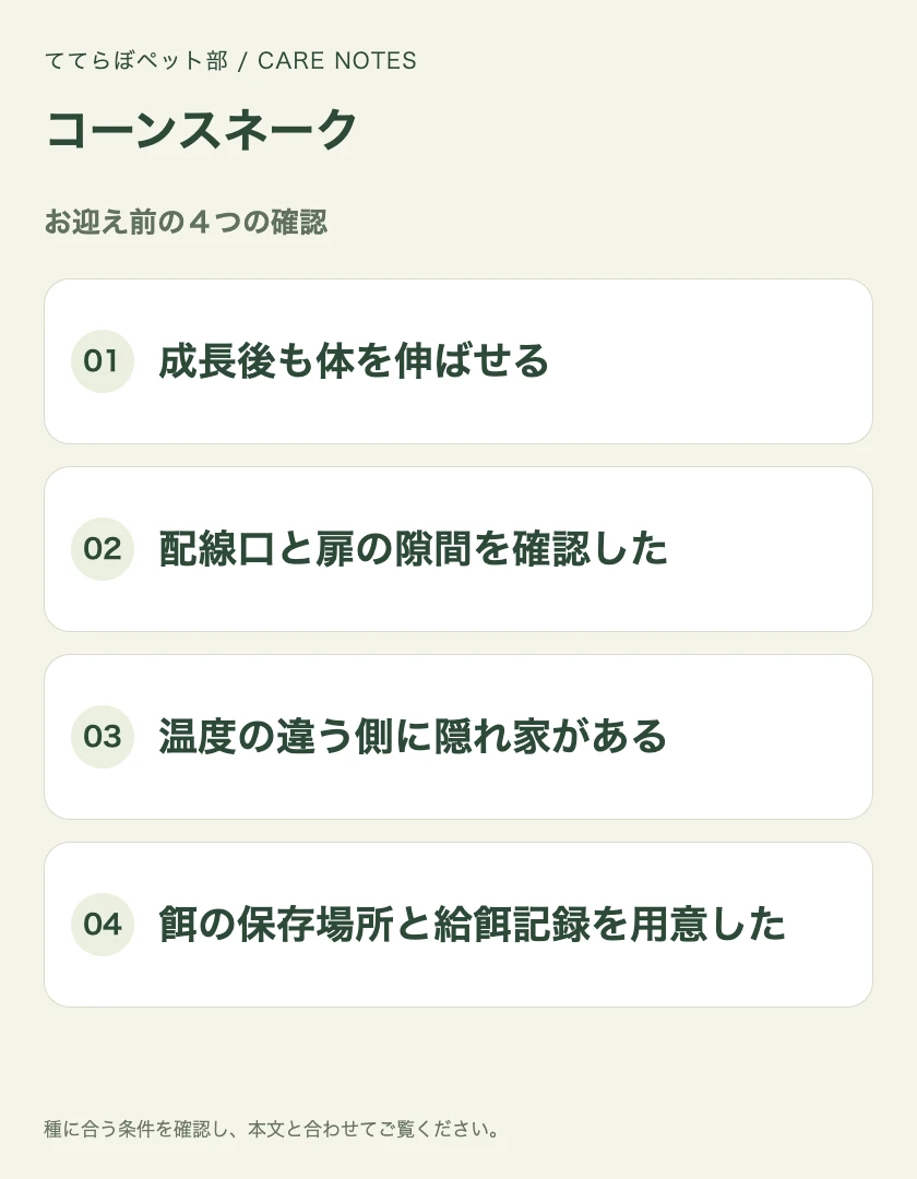 コーンスネークのお迎え前に確認する4項目