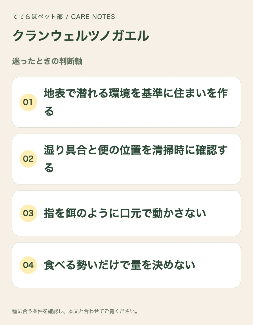 クランウェルツノガエルの迷ったときの判断軸