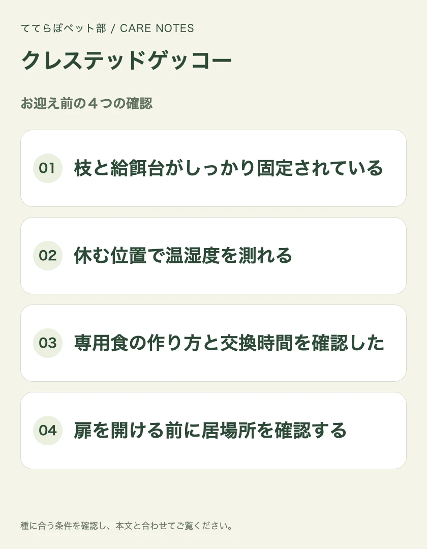クレステッドゲッコーのお迎え前に確認する4項目