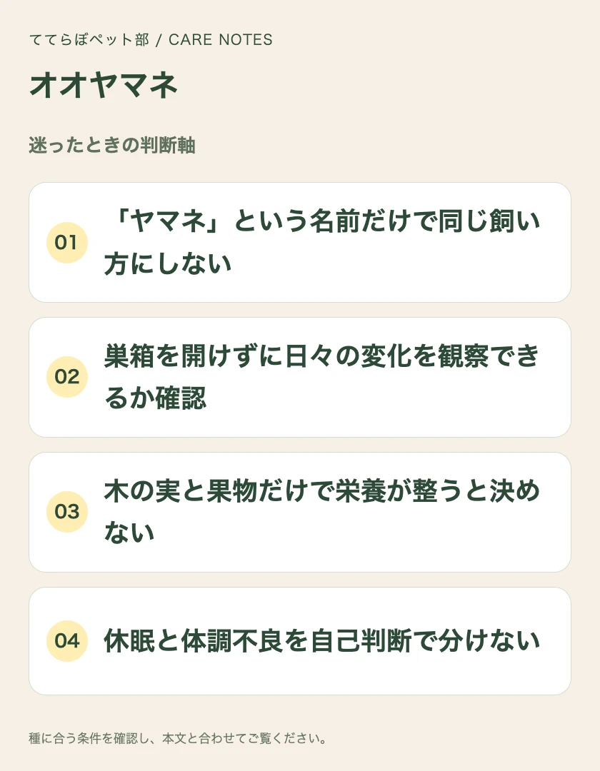 オオヤマネの迷ったときの判断軸