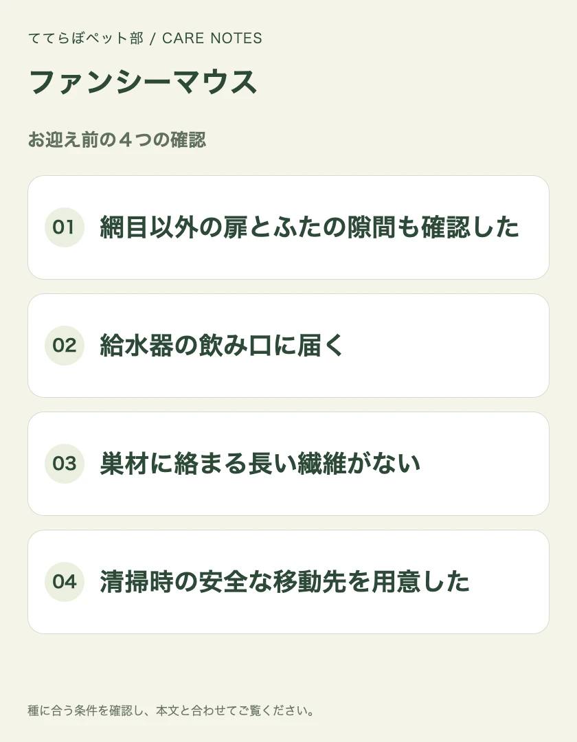 ファンシーマウスのお迎え前に確認する4項目