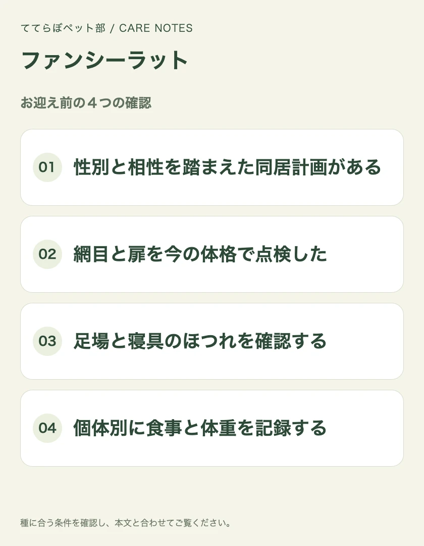 ファンシーラットのお迎え前に確認する4項目