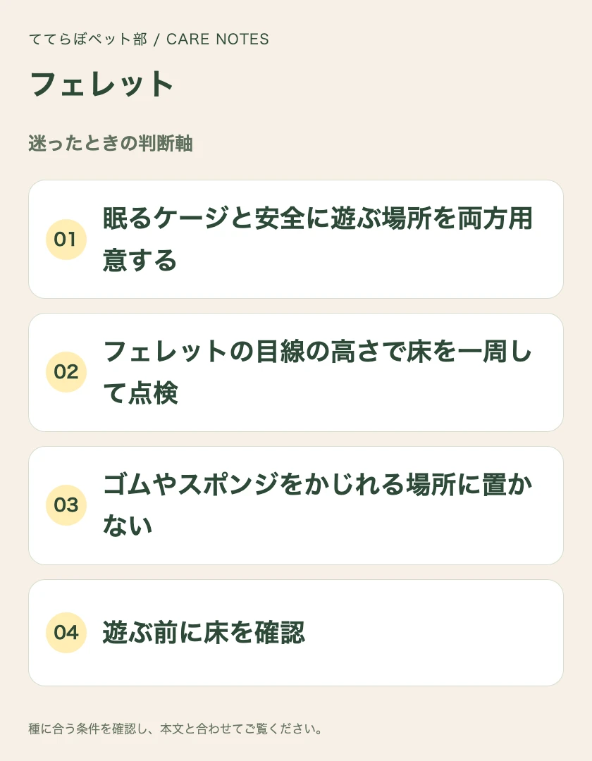 フェレットの迷ったときの判断軸