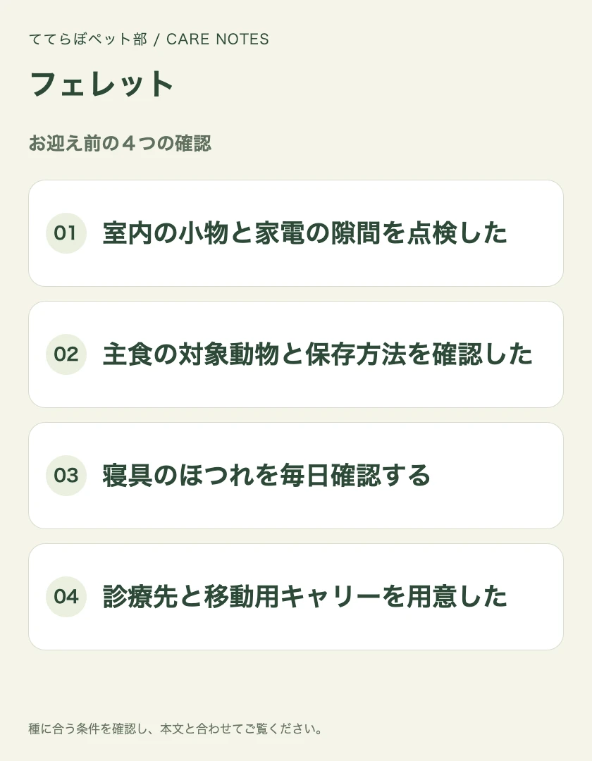 フェレットのお迎え前に確認する4項目