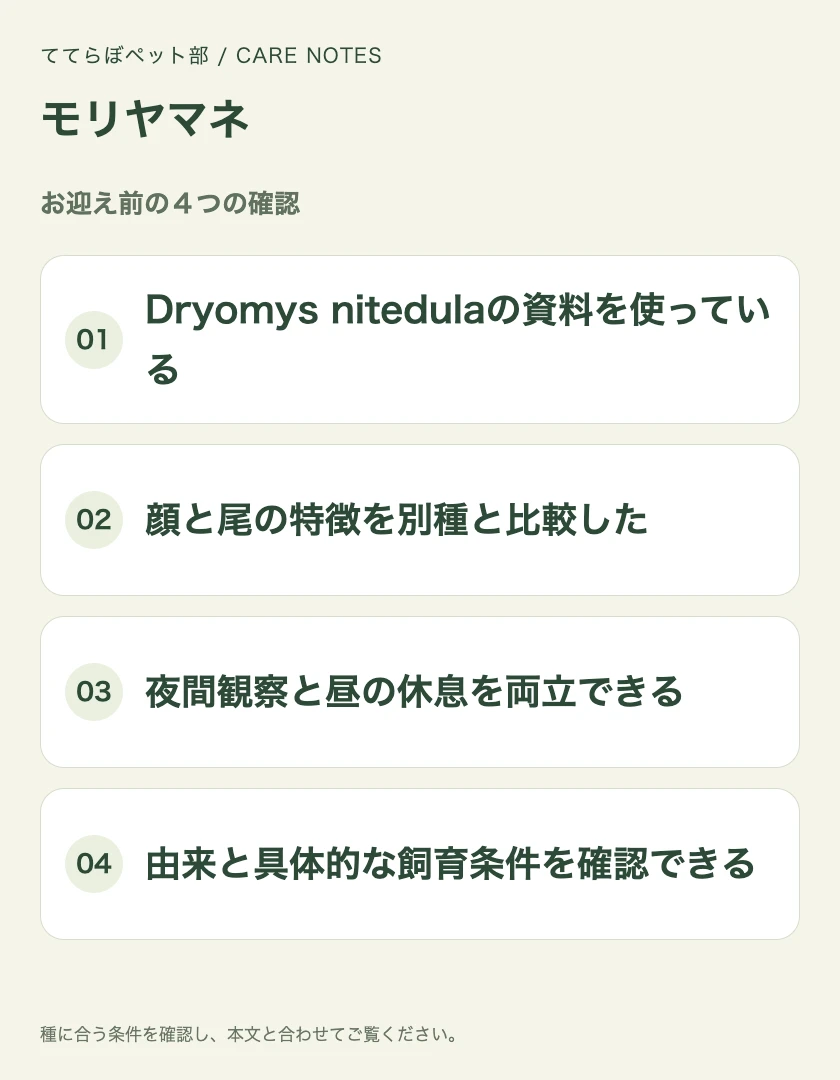 モリヤマネのお迎え前に確認する4項目