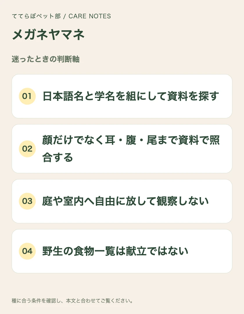 メガネヤマネの迷ったときの判断軸