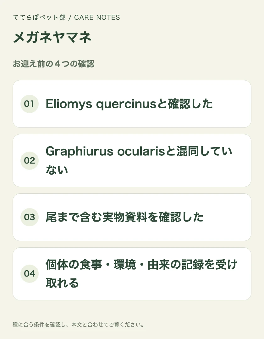 メガネヤマネのお迎え前に確認する4項目