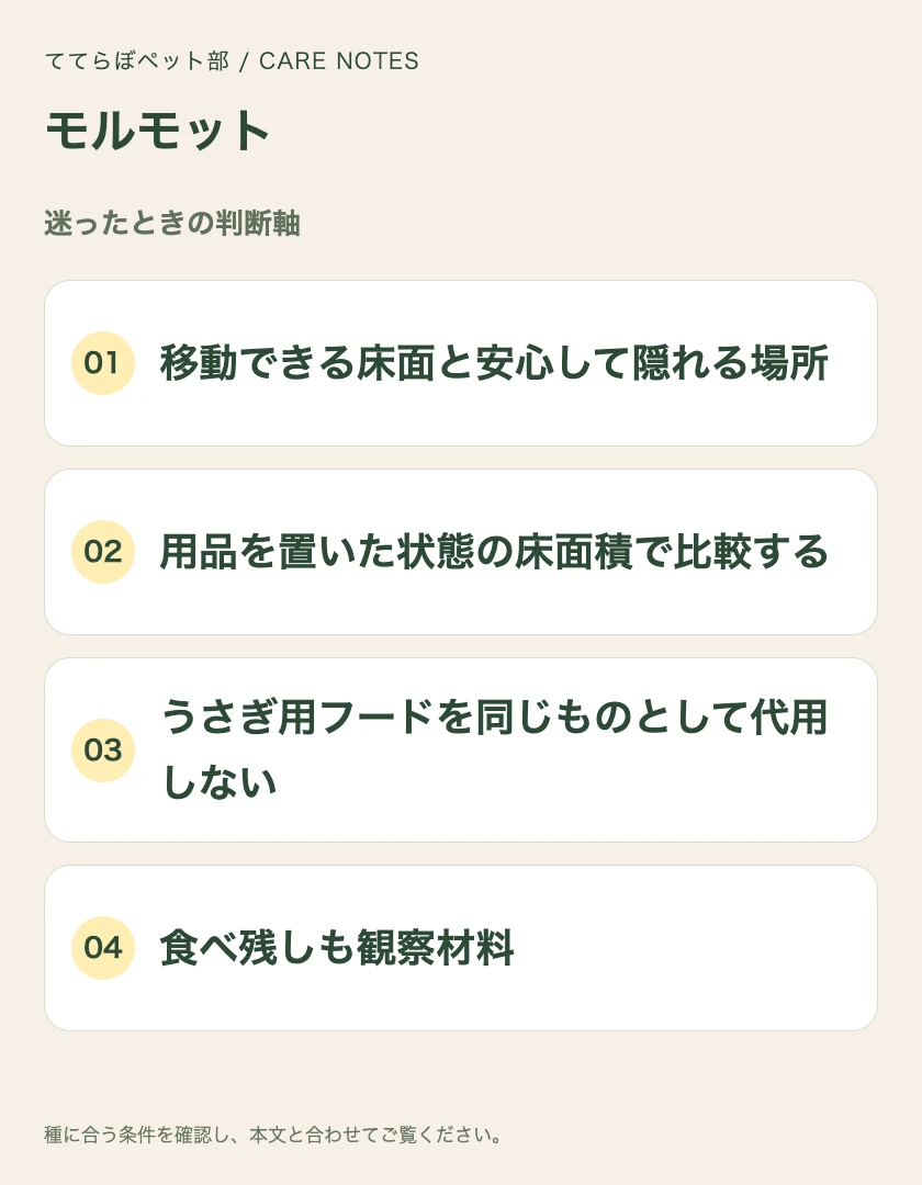 モルモットの迷ったときの判断軸