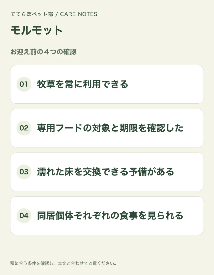 モルモットのお迎え前に確認する4項目