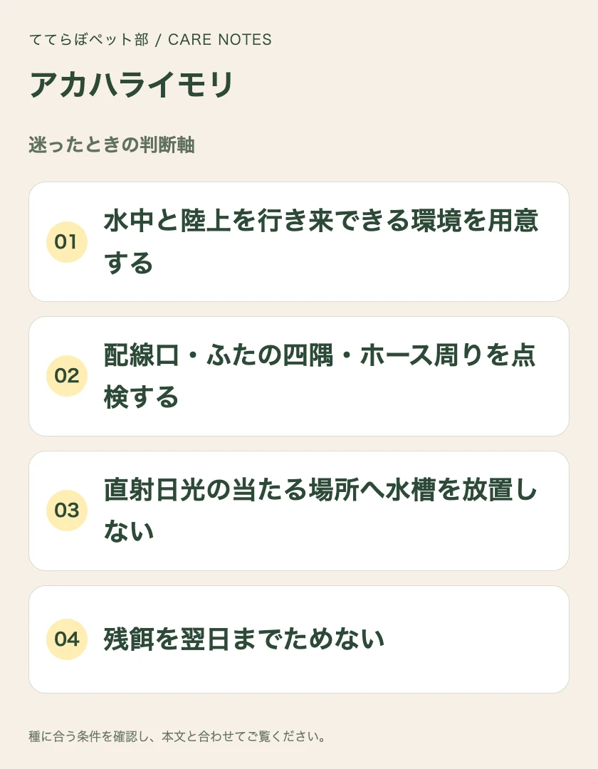 アカハライモリの迷ったときの判断軸