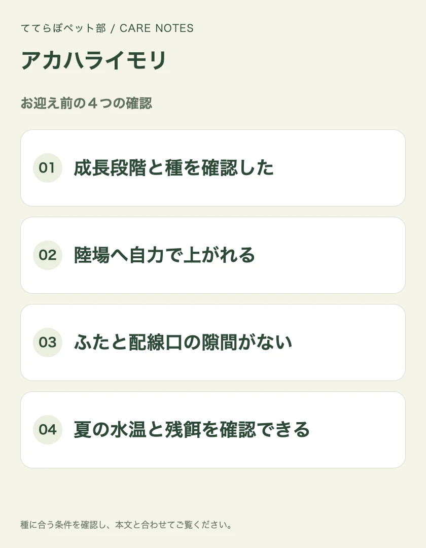 アカハライモリのお迎え前に確認する4項目