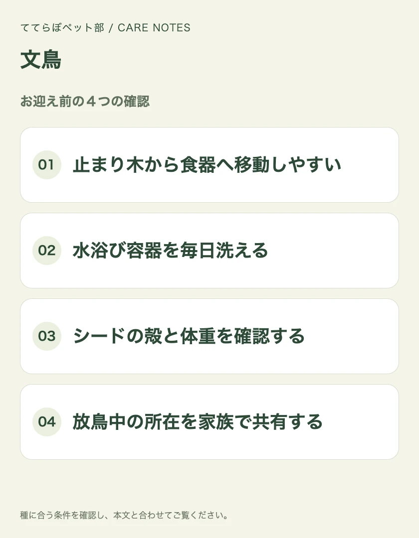 文鳥のお迎え前に確認する4項目