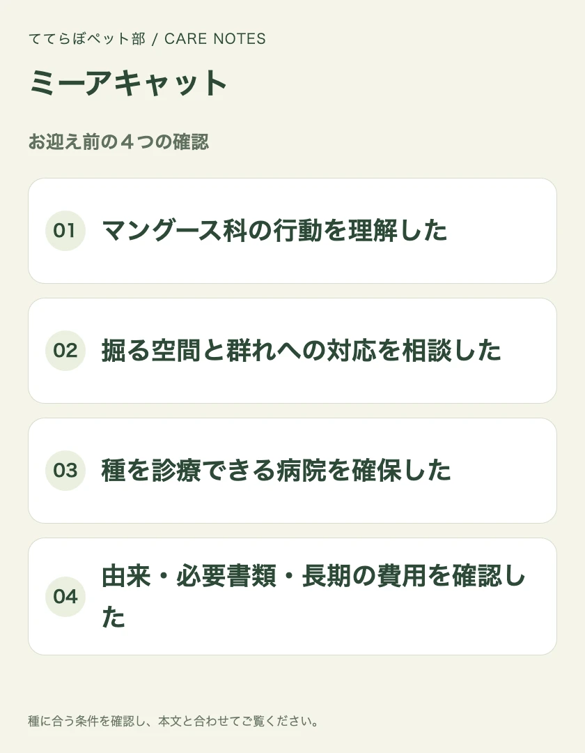 ミーアキャットのお迎え前に確認する4項目