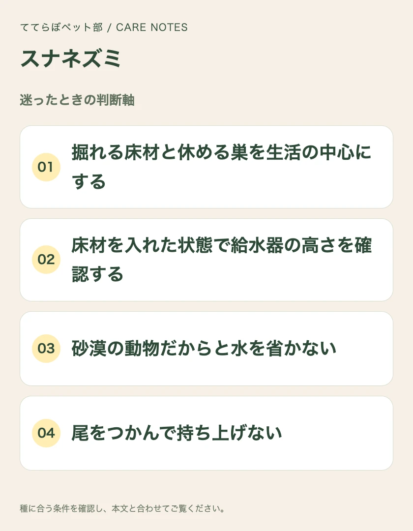 スナネズミの迷ったときの判断軸