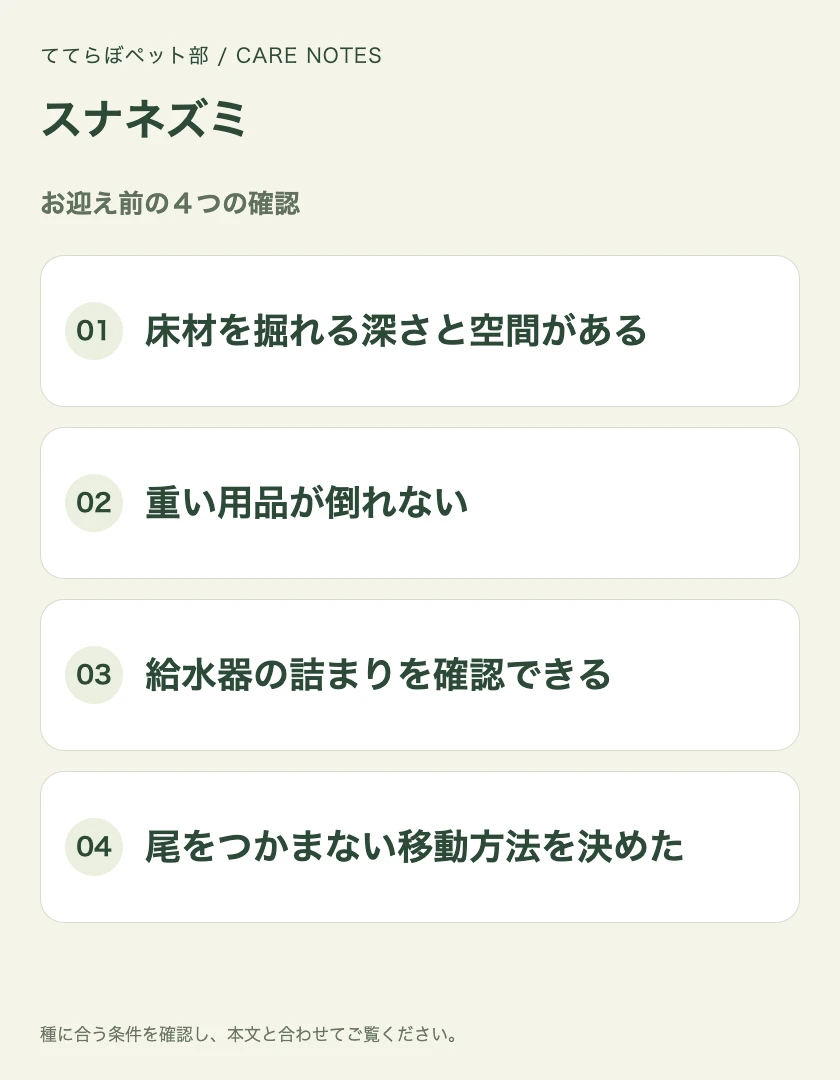 スナネズミのお迎え前に確認する4項目