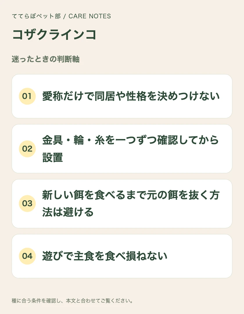 コザクラインコの迷ったときの判断軸