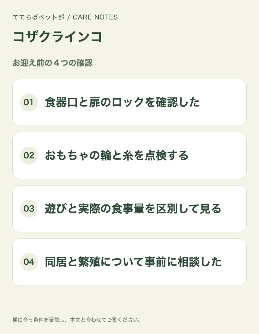 コザクラインコのお迎え前に確認する4項目