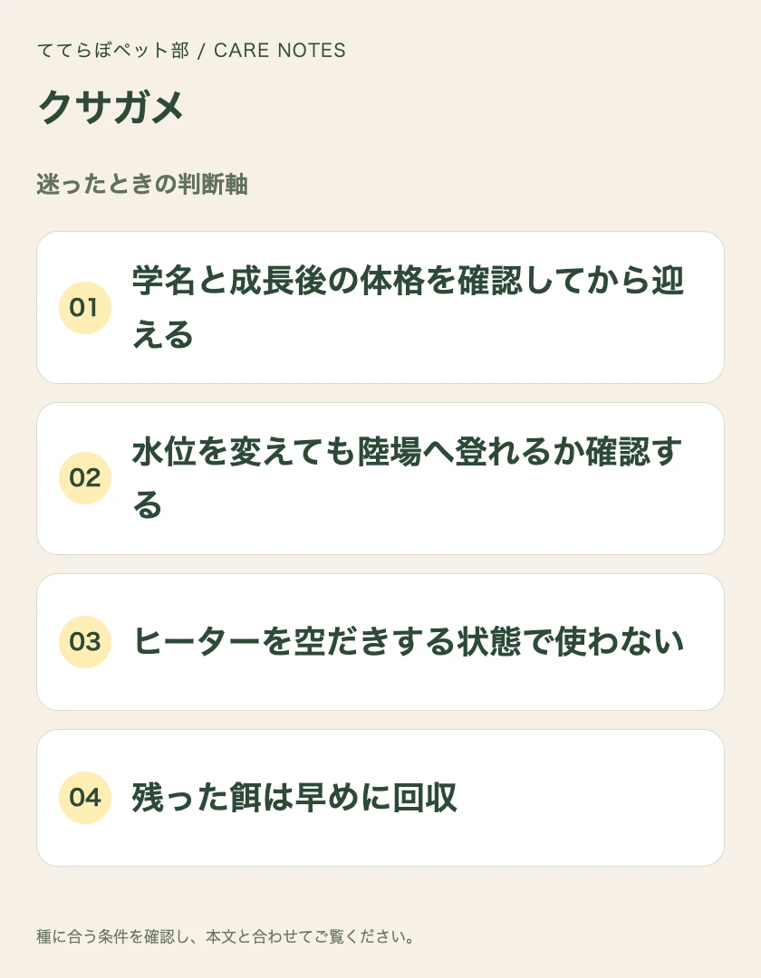 クサガメの迷ったときの判断軸