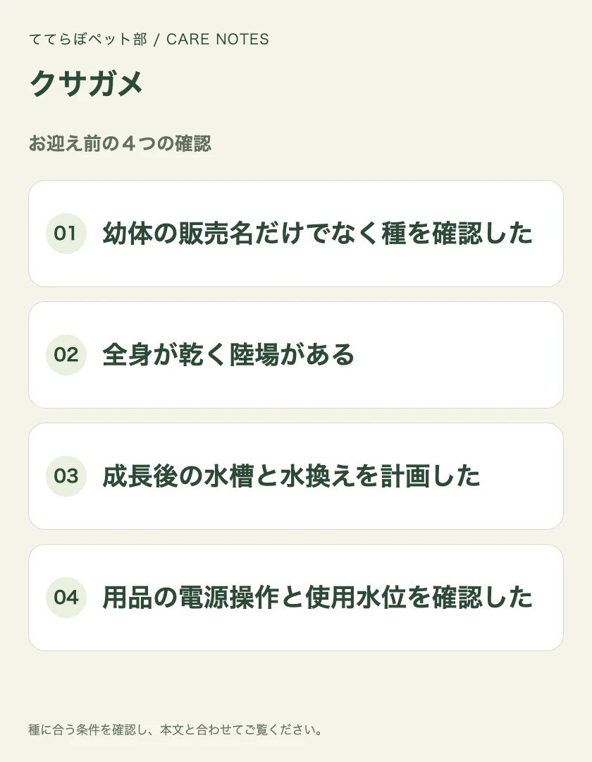 クサガメのお迎え前に確認する4項目