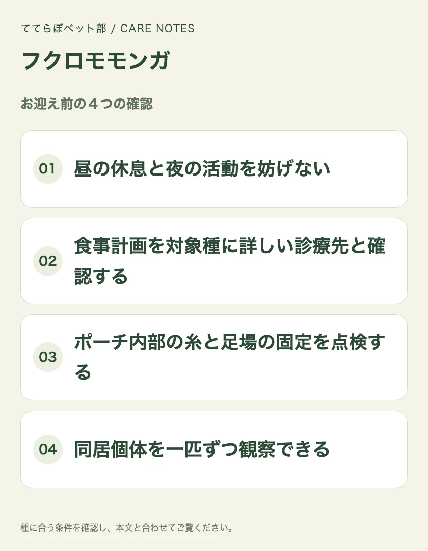 フクロモモンガのお迎え前に確認する4項目