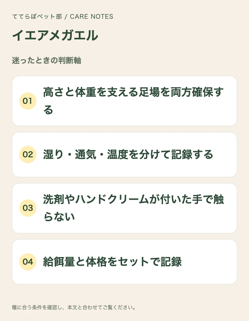 イエアメガエルの迷ったときの判断軸