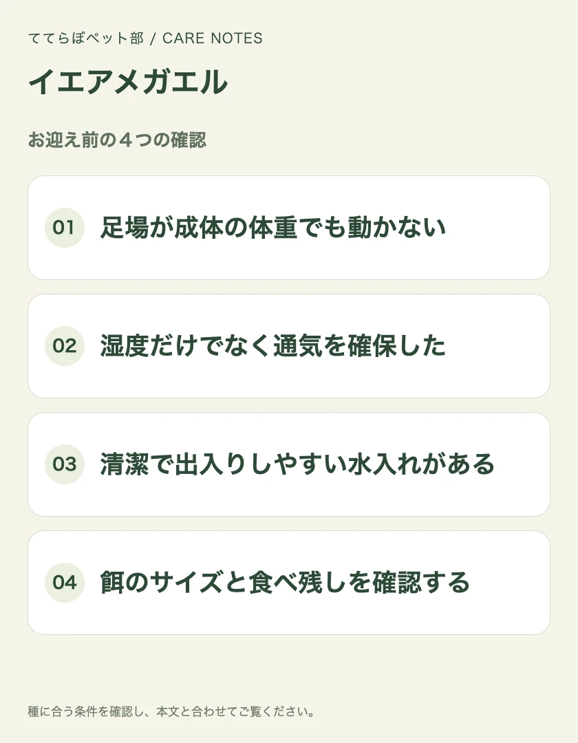 イエアメガエルのお迎え前に確認する4項目