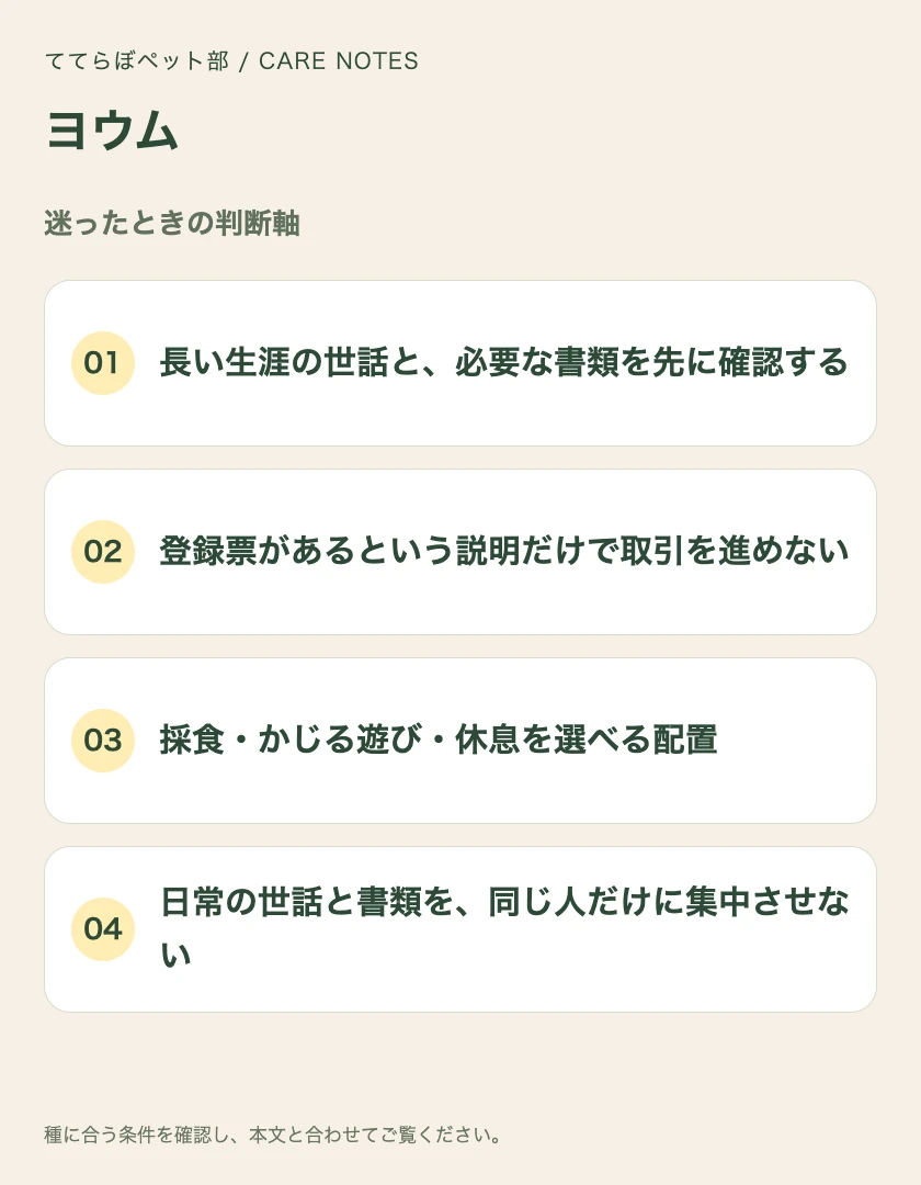 ヨウムの迷ったときの判断軸
