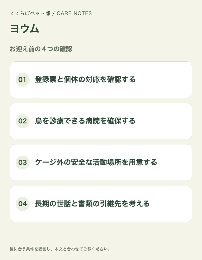 ヨウムのお迎え前に確認する4項目