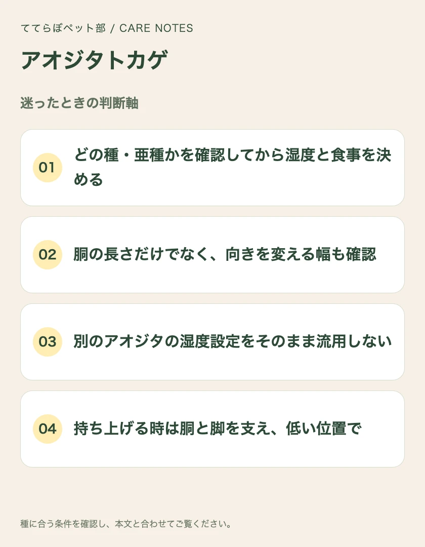 アオジタトカゲの迷ったときの判断軸