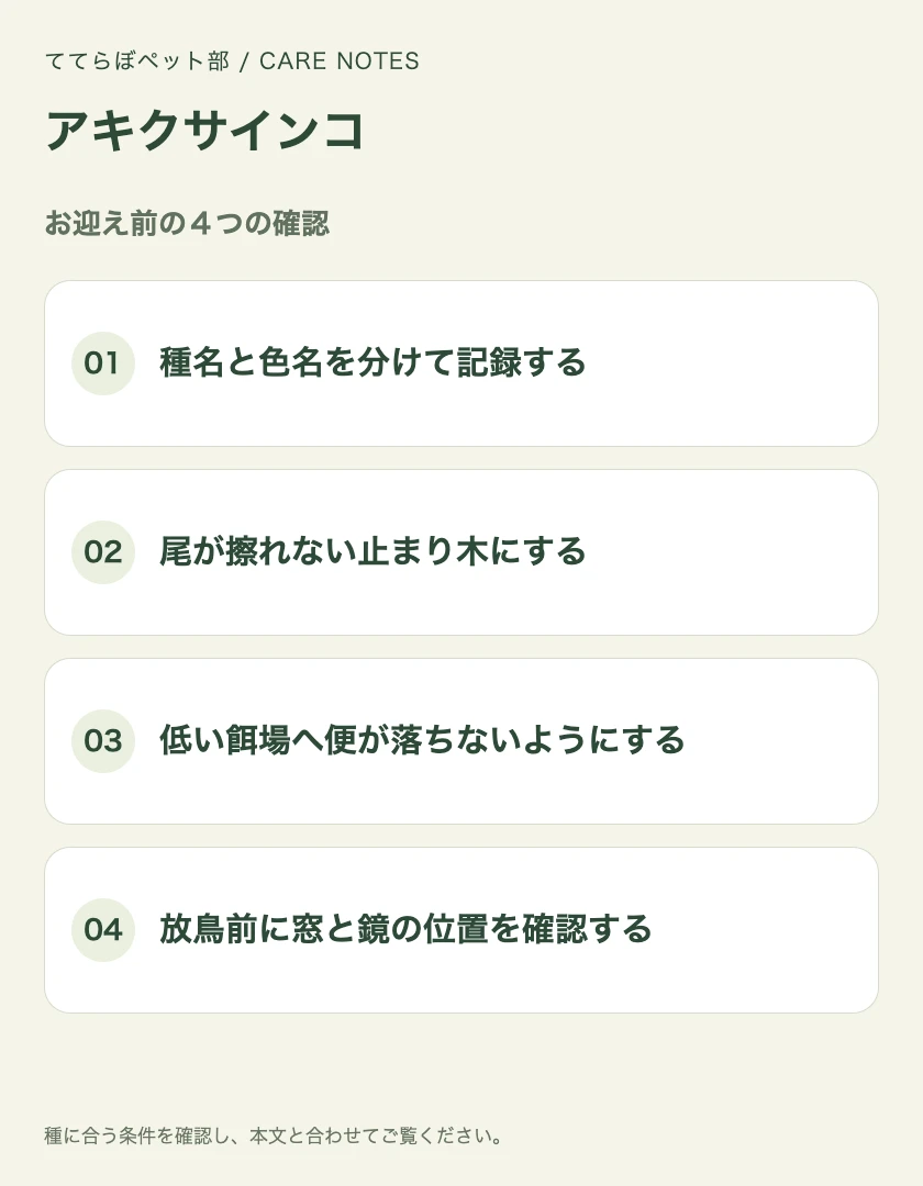 アキクサインコのお迎え前に確認する4項目
