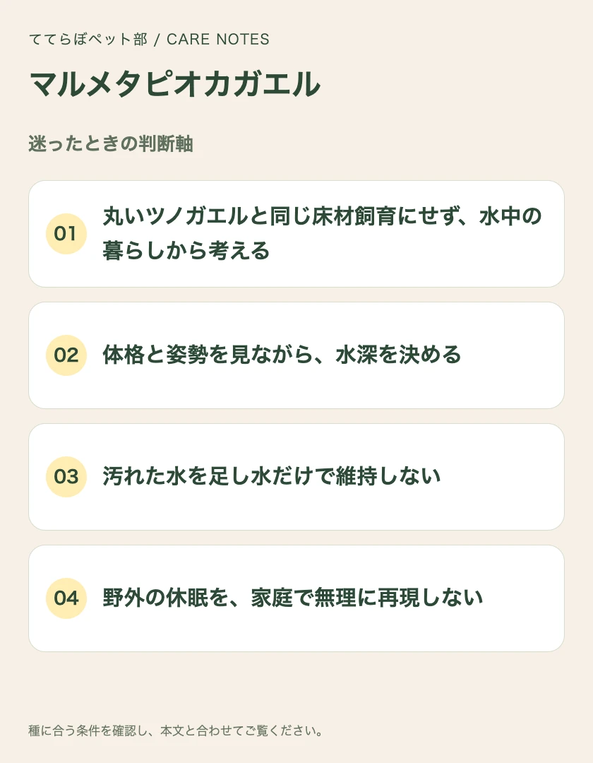 マルメタピオカガエルの迷ったときの判断軸