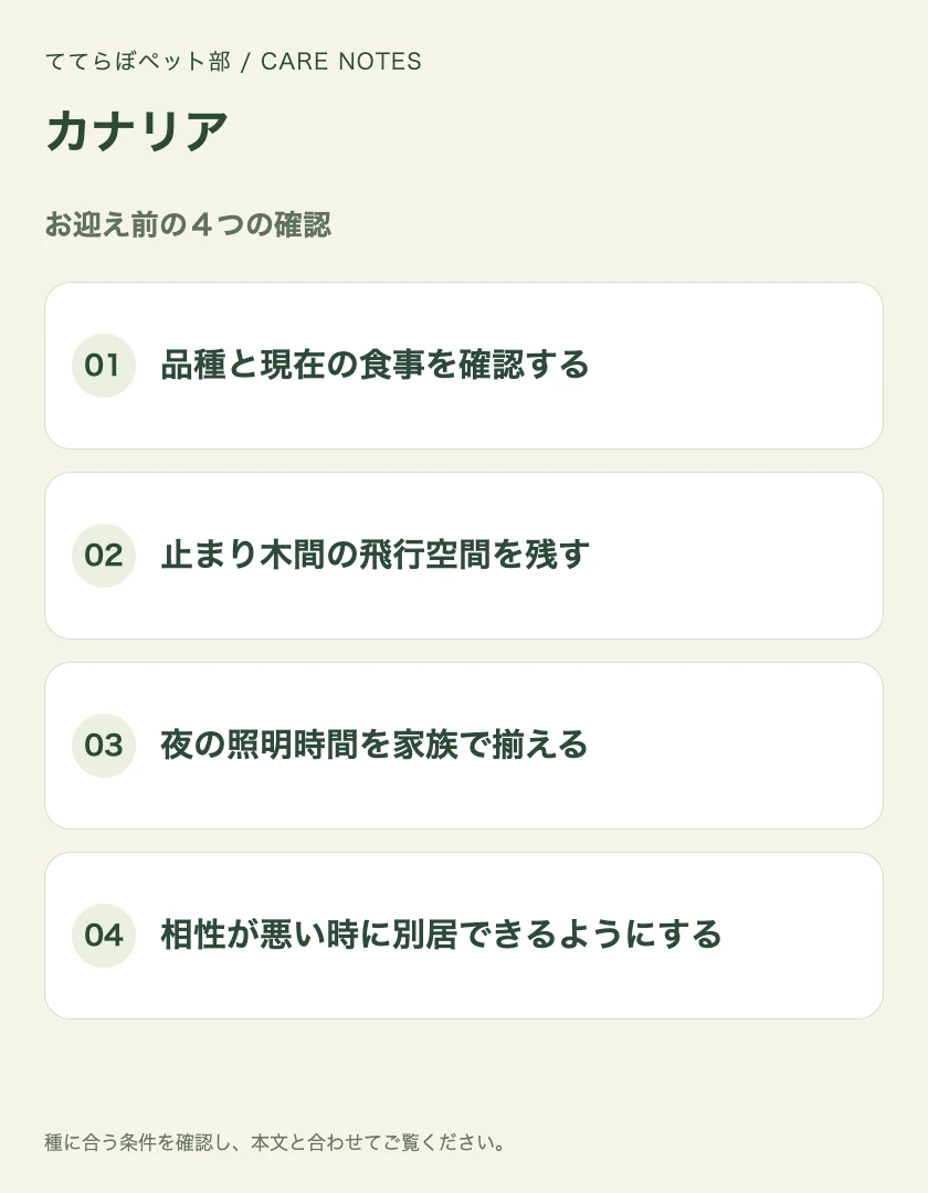 カナリアのお迎え前に確認する4項目