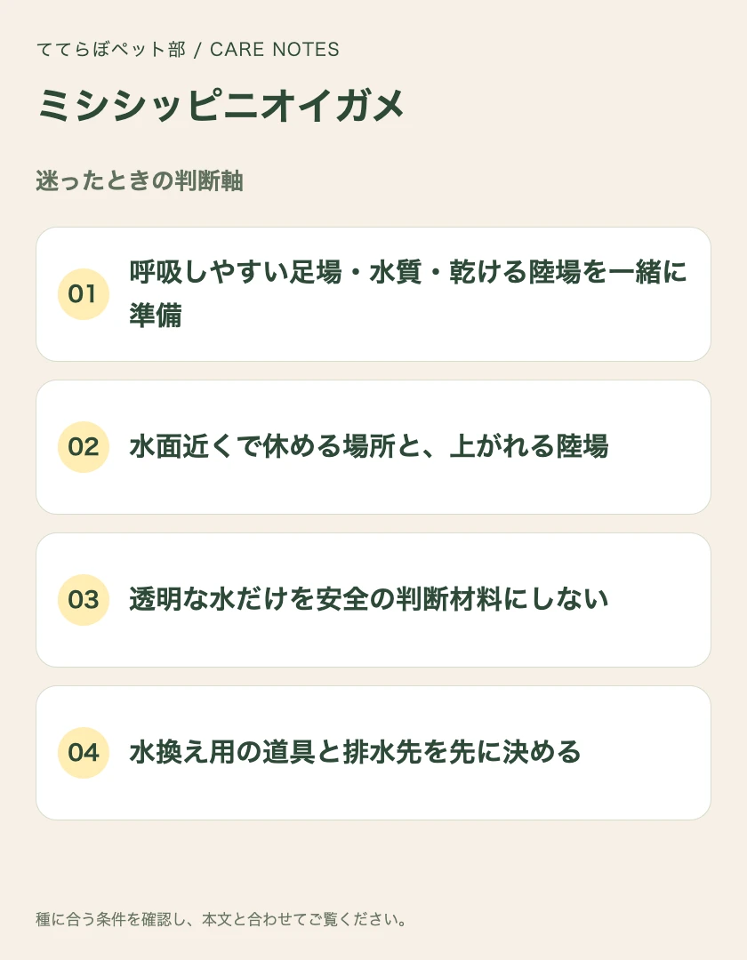 ミシシッピニオイガメの迷ったときの判断軸