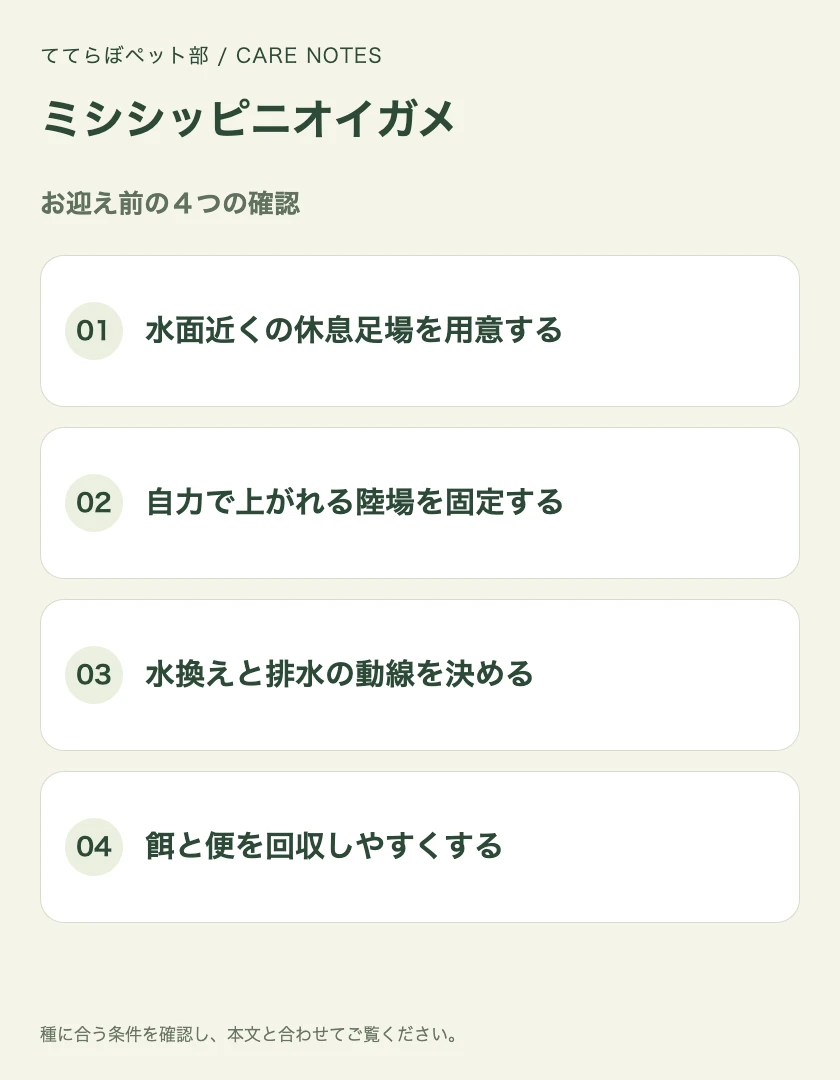 ミシシッピニオイガメのお迎え前に確認する4項目