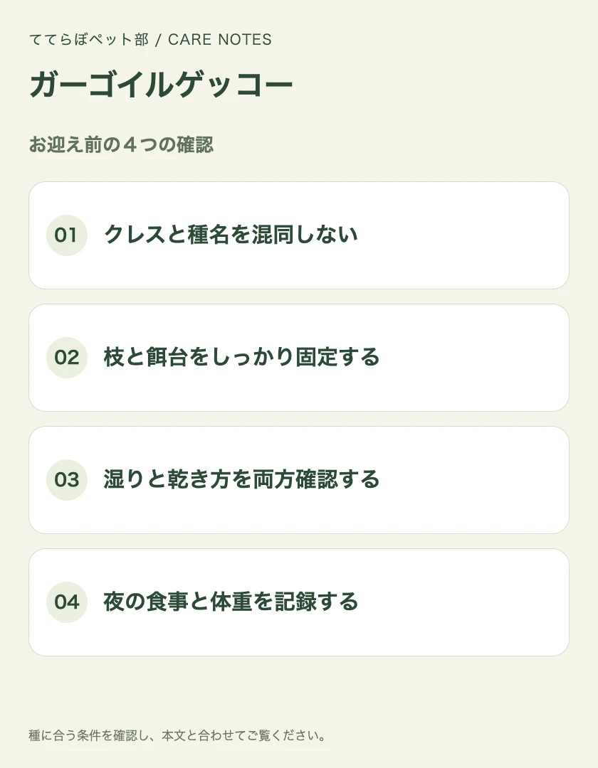 ガーゴイルゲッコーのお迎え前に確認する4項目