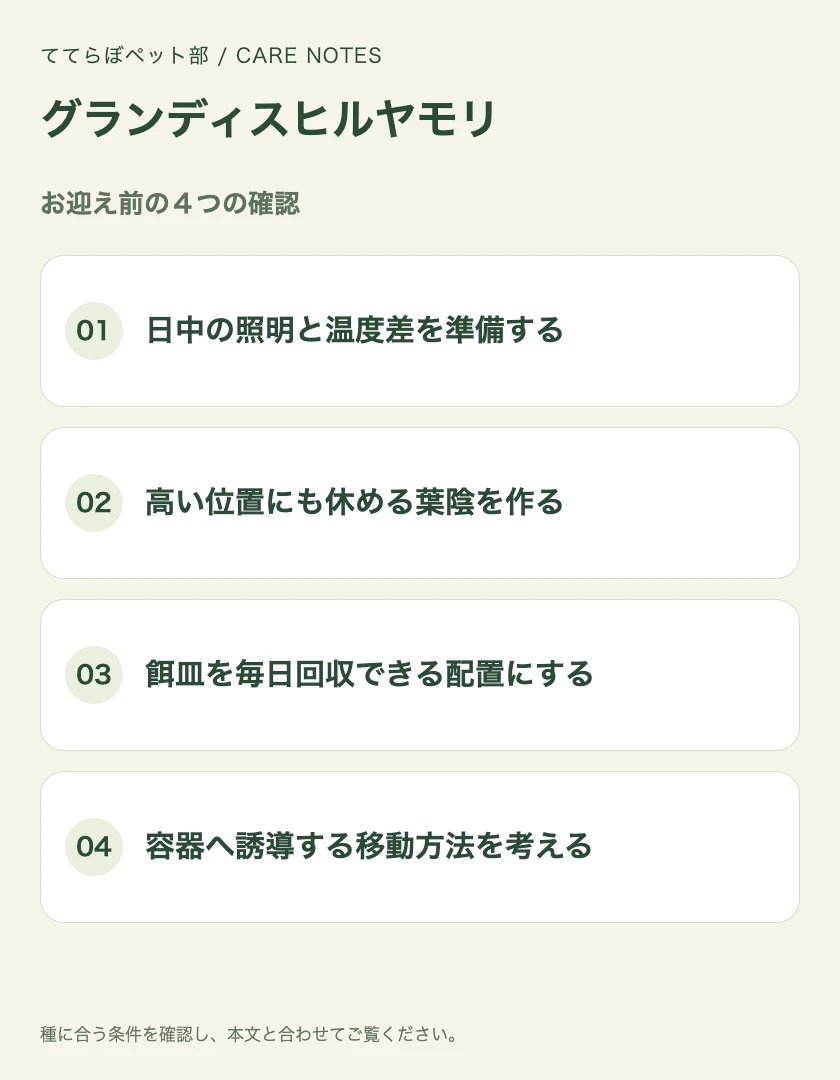 グランディスヒルヤモリのお迎え前に確認する4項目