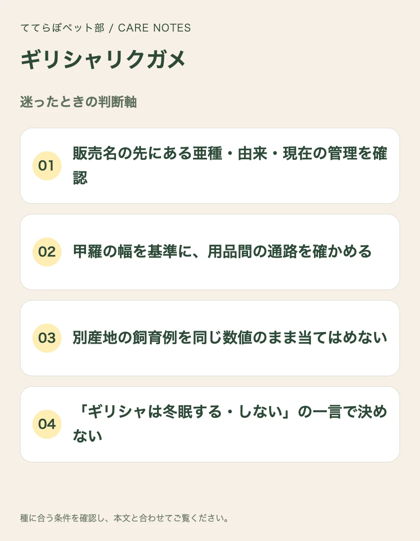 ギリシャリクガメの迷ったときの判断軸