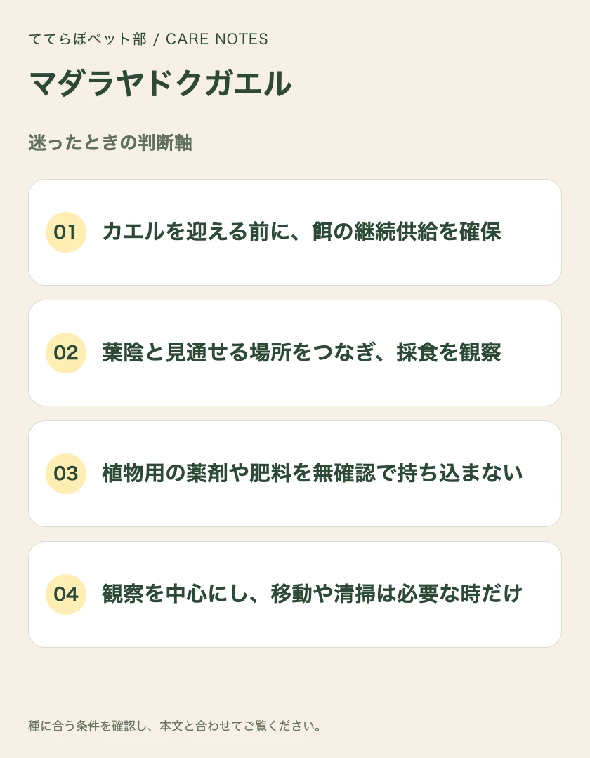 マダラヤドクガエルの迷ったときの判断軸