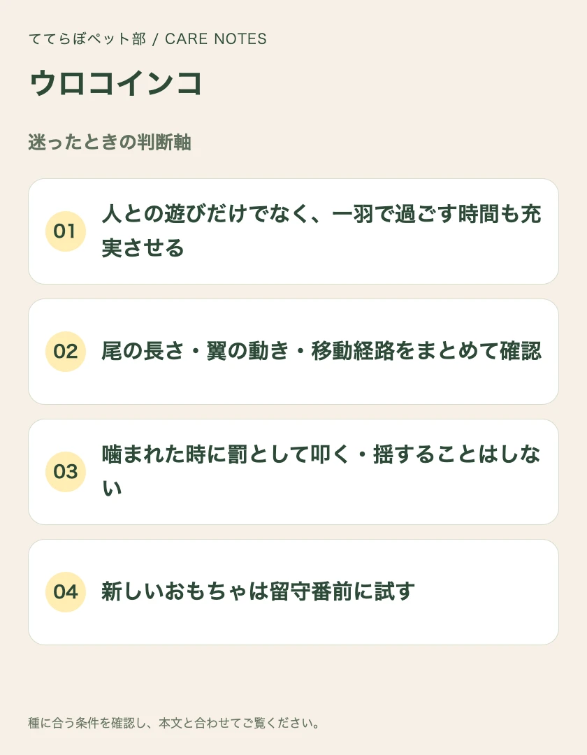 ウロコインコの迷ったときの判断軸
